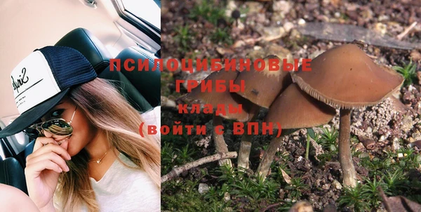 герыч Вязьма