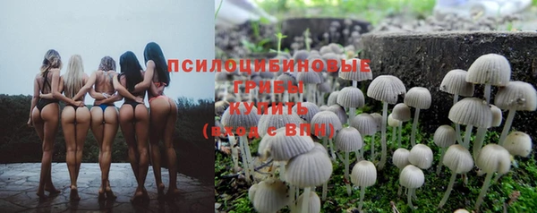 герыч Вязьма