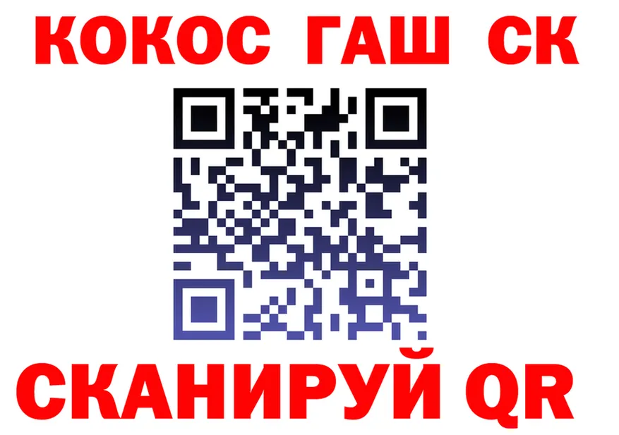 ГАШ Premium зеркало площадка кракен Западная Двина