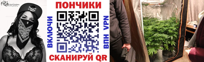 закладка  Западная Двина  Шишки марихуана OG Kush 